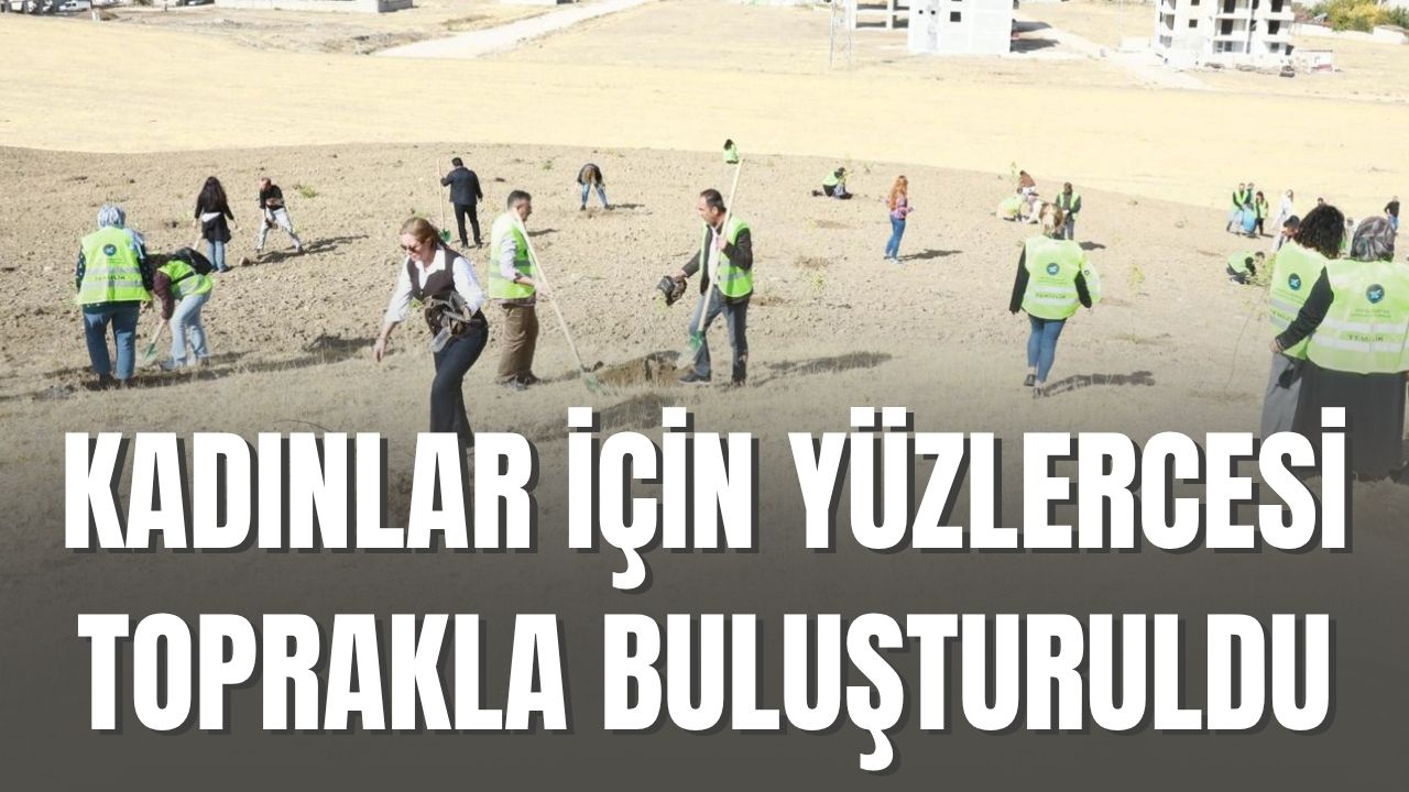 Kadın Ormanı Projesiyle 500 Meşe Fidanı Toprakla Buluştu
