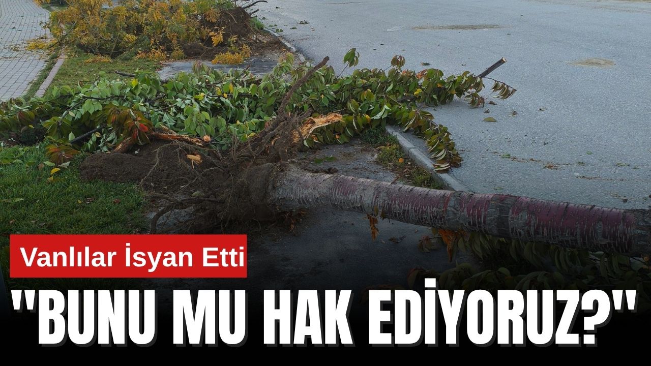 Akköprü-Beşyol Dere Kenarı Ağaçları Neden Söküldü?