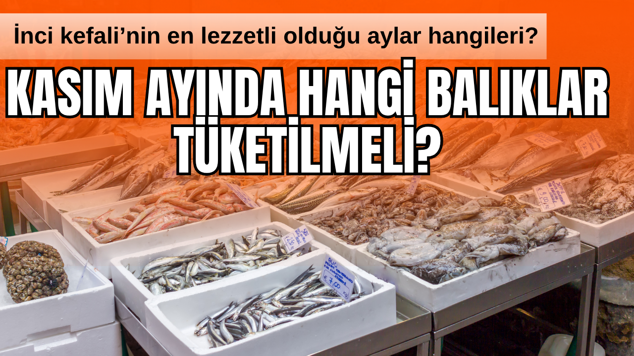 Kasım ayının en lezzetli balıkları belli oldu! İnci Kefali hangi aylarda tüketilmeli?