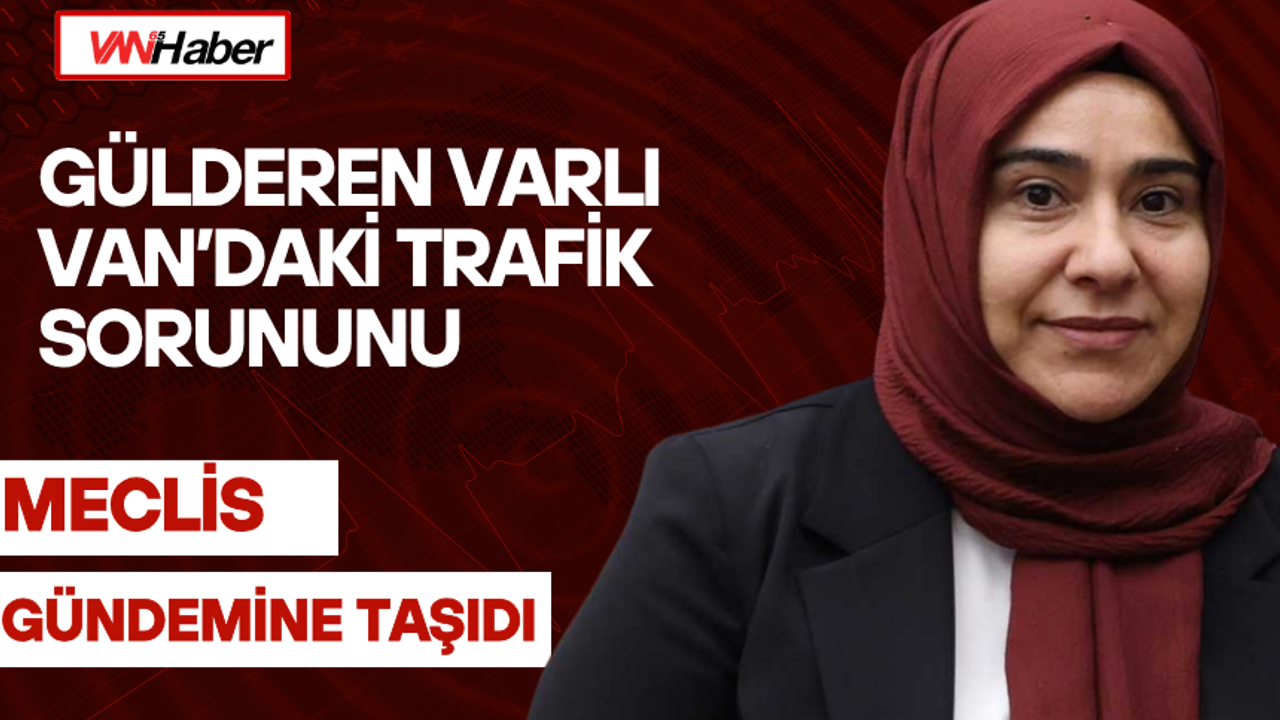 Gülderen Varlı Van’daki Trafik Sorununu Meclis Gündemine Taş