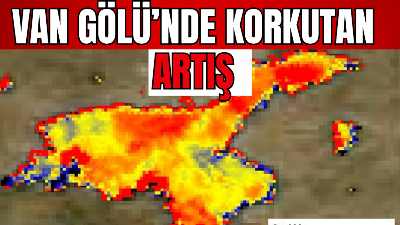 Van Gölü’nde Korkutan Sıcaklık Artışı! Uzmanından Uyarı!