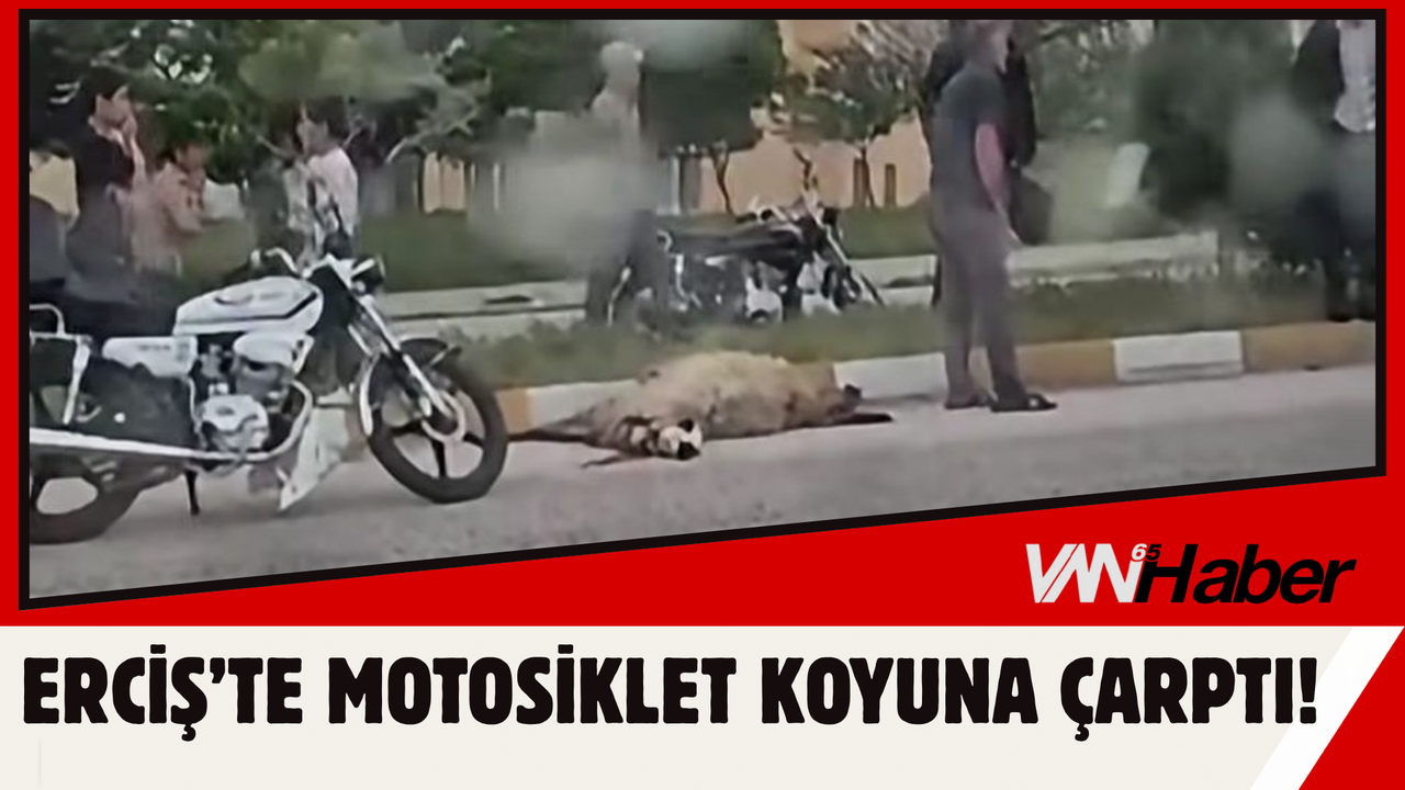 Erciş’te Motosiklet Koyuna Çarptı!