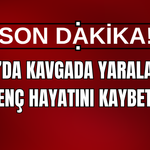 Muradiye’de aileler arasındaki kavgadan acı haber geldi! 21 yaşındaki genç hayatını kaybetti