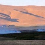 Van’da Kuşların Yaşam Alanında Yangın! Çırak Sazlığı Alevlere Teslim Oldu