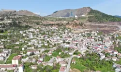 Yerleşim yerlerine inen ayılar vatandaşları tedirgin ediyor
