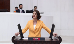 Van Milletvekili Sayyiğit; Veriler alarm veriyor!