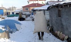 Ağrı'daki Sibirya Soğukları