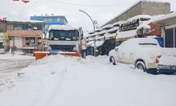 Van'da kamyonlarla kar taşınıyor!