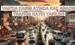 Van'da kaç aracın trafiğe kaydı yapıldı! TÜİK açıkladı!