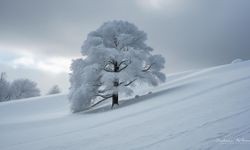 Özalp Kaymakamlığı’ndan Vatandaşlara Hayati Kar ve Çığ Uyarısı