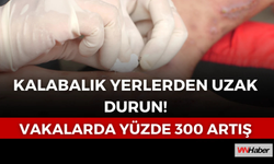 Dikkat! Son 5 Yılda  Yüzde 300 Artış!