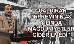 Varlı, Çaldıran Depremi Mağdurlarını Gündeme Taşıdı