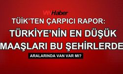 Tüik’ten Çarpıcı Rapor: Van bu raporda nasıl yer aldı?