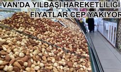 Van'da yılbaşı hareketliliği!