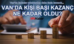 Van’da Kişi Başı Ortalama Kazanç Ne Kadar?