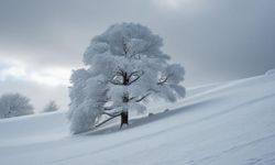 Meteoroloji'den Van için uyarı!