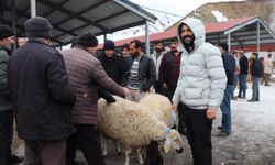 Canlı Hayvan Pazarı Yeniden Açıldı: Üreticiler Mağduriyetlerini Anlattı