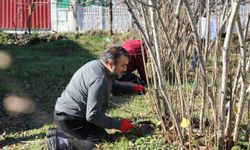 Fındık Budama Yarışması Düzenlendi