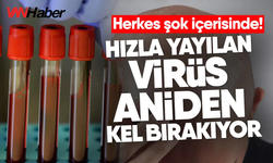 Yeni Virüs Panik Yarattı: 155 Kişi Aniden Kel Kaldı