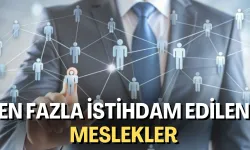 2024'te En Çok Eleman İstihdam Edilen Meslekler