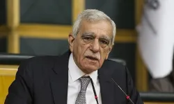 Ahmet Türk: "Görüşmeler Olumlu Geçti"