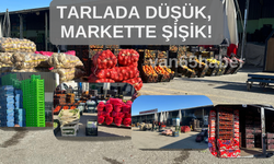 Van'da Tarladan Market Rafına Uzanan Fiyat Çıkmazı!