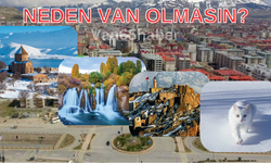 Neden Van olmasın?