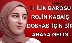 11 ilin barosu Rojin Kabaiş dosyası için bir araya geldi