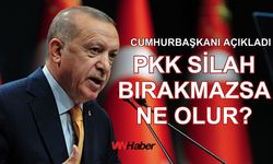 Cumhurbaşkanı Erdoğan açıkladı: PKK silah bırakmazsa ne olur?