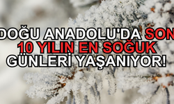 Doğu Anadolu'da Son 10 Yılın En Soğuk Günleri Yaşanıyor!