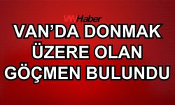 Van kırsalında donmak üzere olan erkek göçmen bulundu!