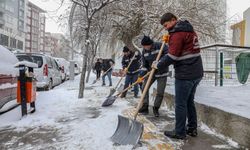 Van'da Karla Mücadele Seferberliği Başladı!