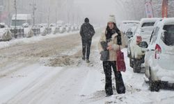 Kar Yağışı: 59 Köy Yolu Ulaşıma Kapandı