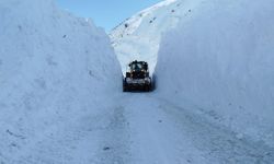 Çığ Yolu Kapattı, Ekipler Seferber Oldu