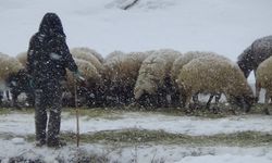 Van’da Kar Sürprizi! Sadece 20 Dakika Sürdü