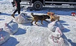 Hakkari’de Narkotik Operasyonu: Kargo Aracında Uyuşturucu Yakalandı