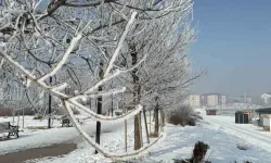 Buzdan Bir Dünya: Bitlis’te Hava Eksi 20’lerde