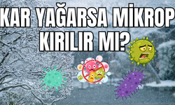 Vanlılar sık sık bu ifadeyi kullanıyor! Kar yağarsa mikrop kırılır mı? Uzmanı yanıtladı!