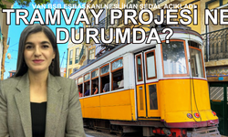 Van'daki Tramvay Projesi Ne Durumda? Eşbaşkan Şedal Açıkladı!