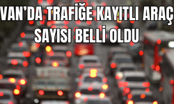 Van’da Ocak ayında trafiğe kayıtlı araç sayısı belli oldu!