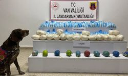 Van’da 110 Kilo Uyuşturucu Ele Geçirildi