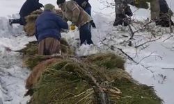 Karadağ Dağı’ndan Kızaklarla Ot Taşıyorlar