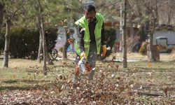 Van'da park ve bahçelere bahar bakımı