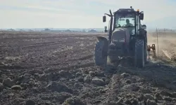 Erken Arpa Ekimi Başladı! İşte Detaylar...