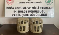 Van’da  Kafes Avcılığına Rekor Ceza
