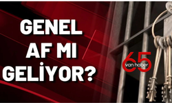 2025 Yılında Genel Af Gerçekleşecek Mi?