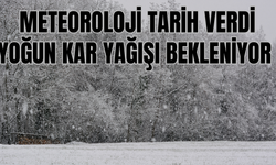 Meteoroloji Van için Tarih Verdi! Yoğun Kar Yağışı bekleniyor