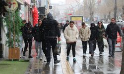 Van'da mart kapıdan baktırdı! Lapa lapa kar yağdı!