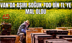 Van'da aşırı soğuklar 700 bin TL'ye mal oldu! Çiftçi mağdur!