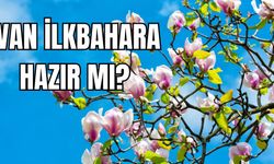 Van ilkbahara hazır mı? Kurumlar toplansın, kentte çalışma başlasın!